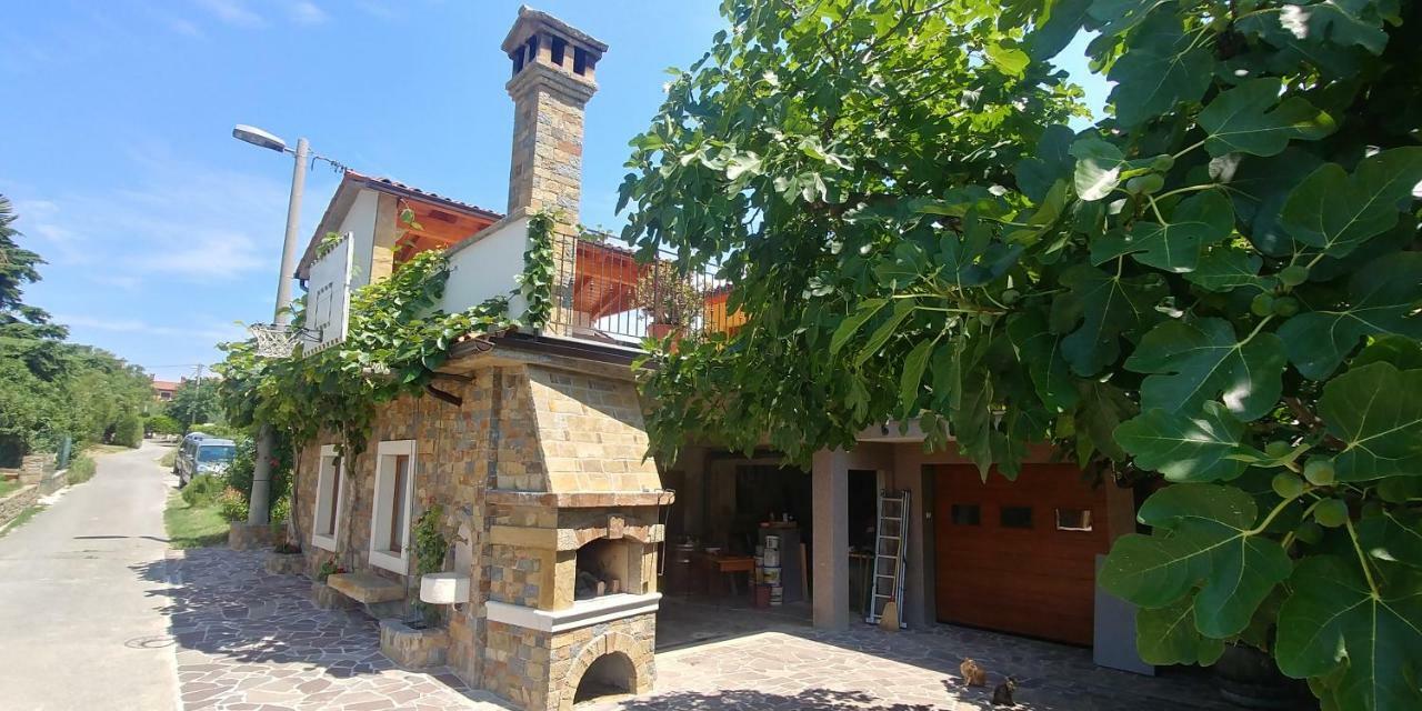 Kmetija Jogan, Wines & Apartments Pobegi 외부 사진